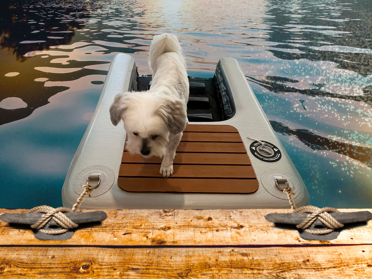 Inflatable Dog Ramp