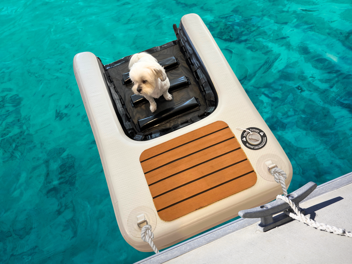 Inflatable Dog Ramp