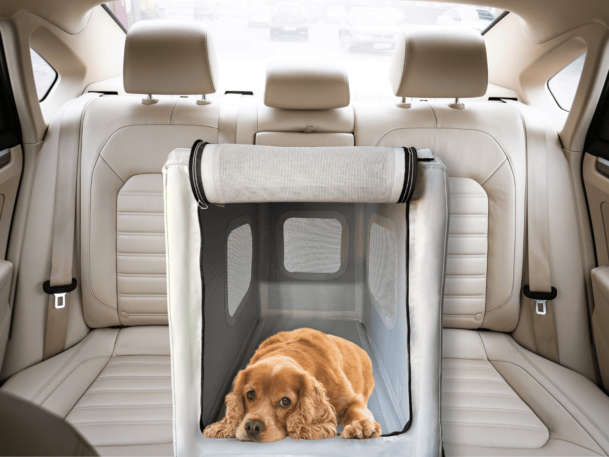 Inflatable Pet Crate (MEDIUM) – Big Sky Innovations